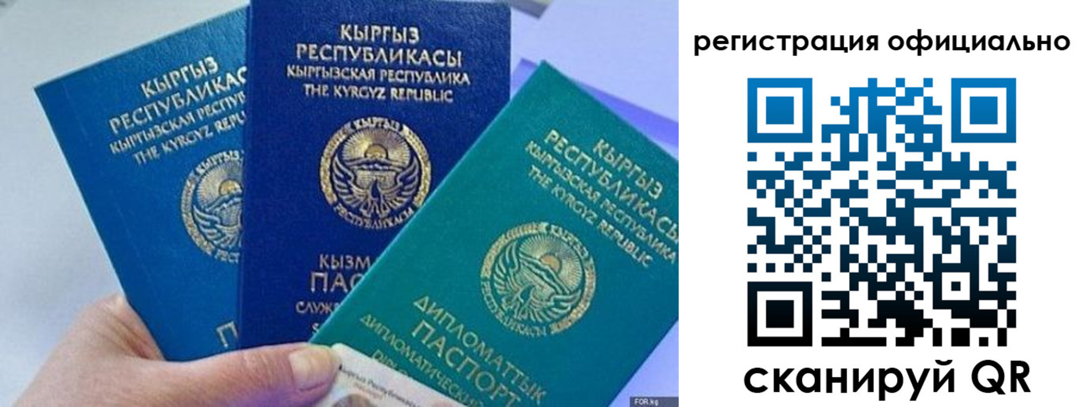 прописка в Александровске
